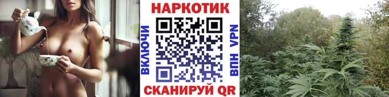 Купить наркотик аптеки Новоалександровск Гашиш  Амфетамин  Меф мяу мяу  СК  Канабис  KRAKEN рабочий сайт  Кокаин 