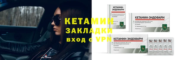 хмурый Новозыбков