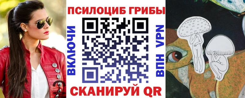 Галлюциногенные грибы GOLDEN TEACHER  Новоалександровск 