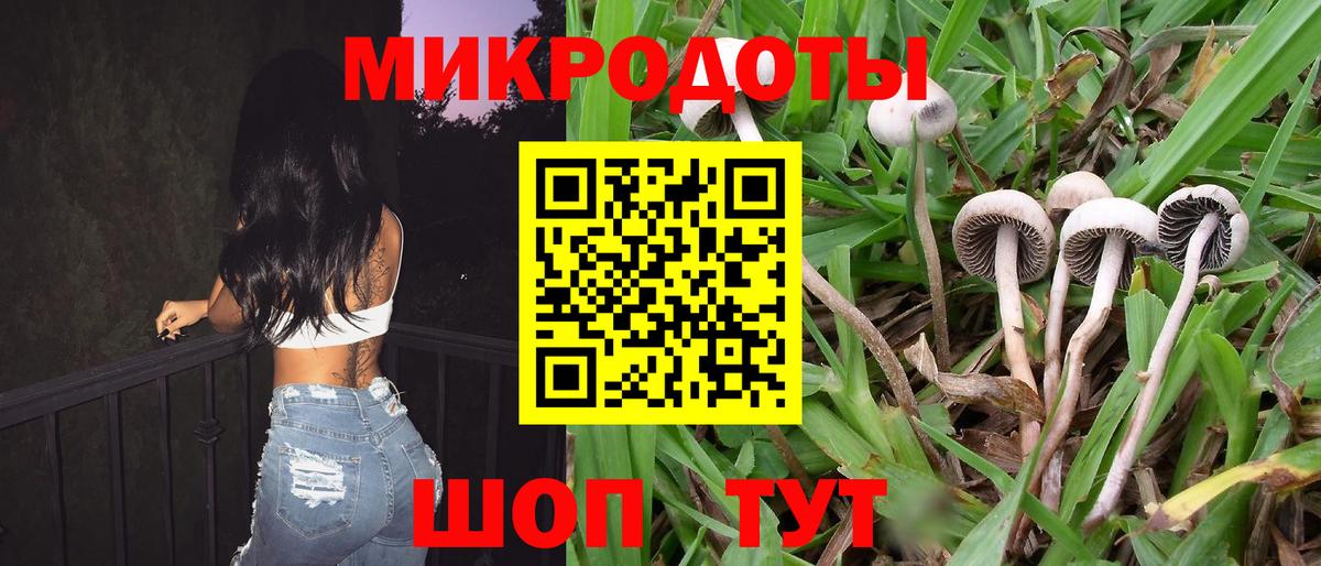 Новоалександровск  Галлюциногенные грибы ЛСД  хочу   Вход с VPN 