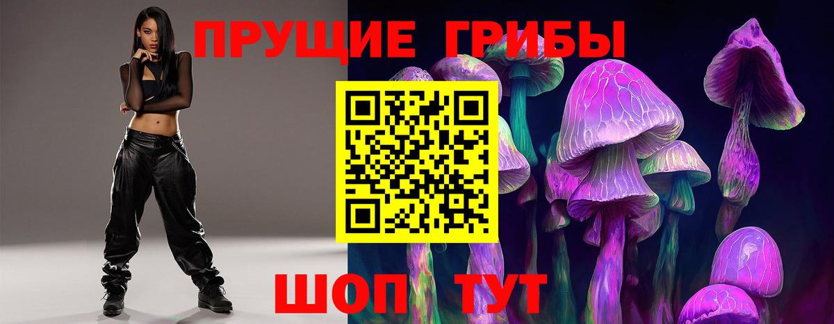 Псилоцибиновые грибы GOLDEN TEACHER Новоалександровск